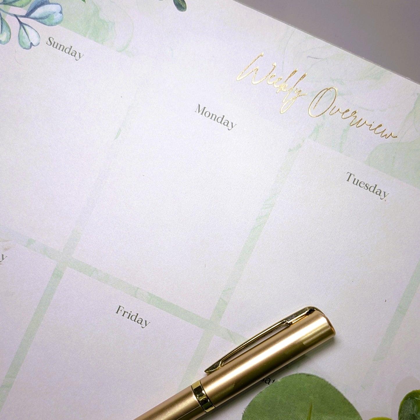 Eucalyptus Weekly Overview