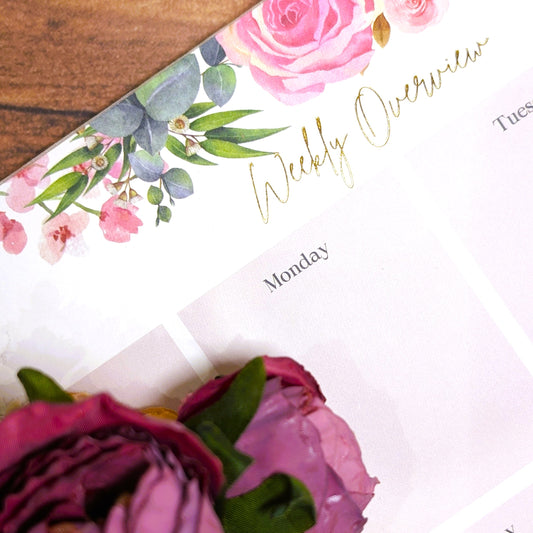 Rosa Weekly Overview