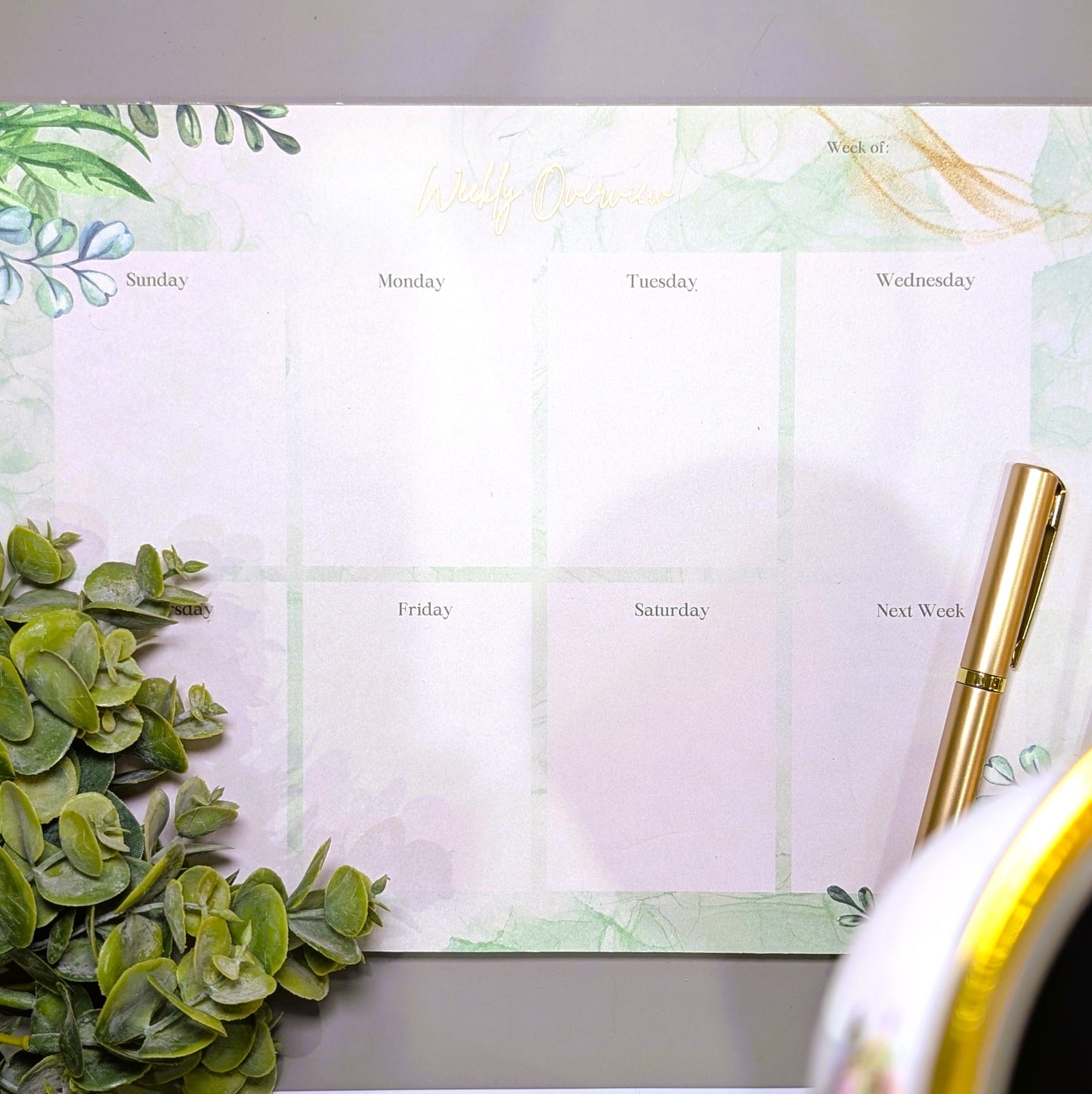 Eucalyptus Weekly Overview